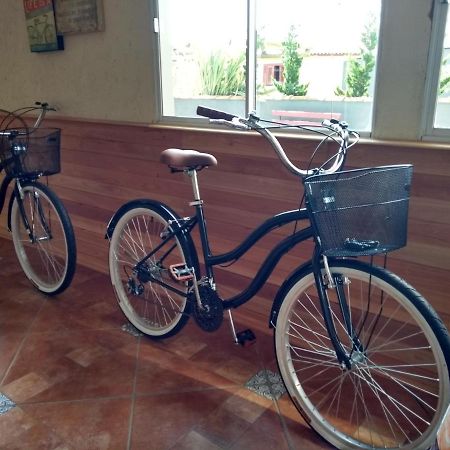 Container Eco Lodge São Francisco de Paula Εξωτερικό φωτογραφία